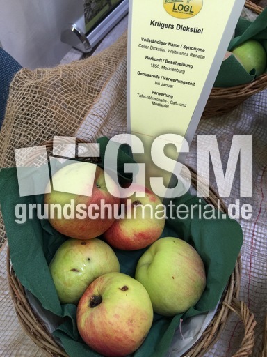 Krügers Dickstil.jpg